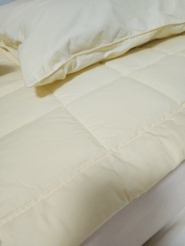 이미지를 찾을 수 없습니다.