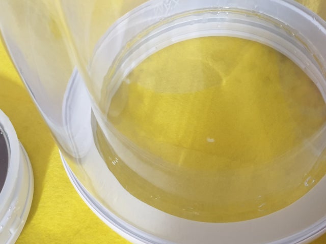 20260215_083336.jpg?type=w640