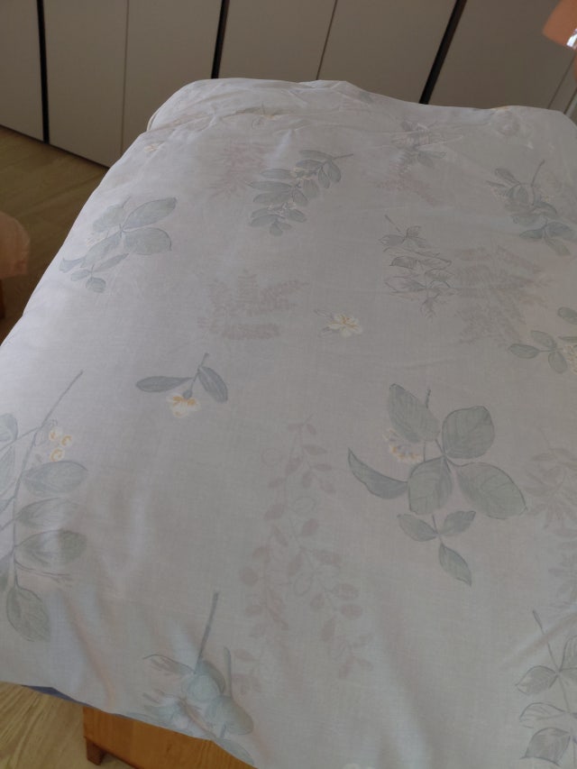 이미지를 찾을 수 없습니다.