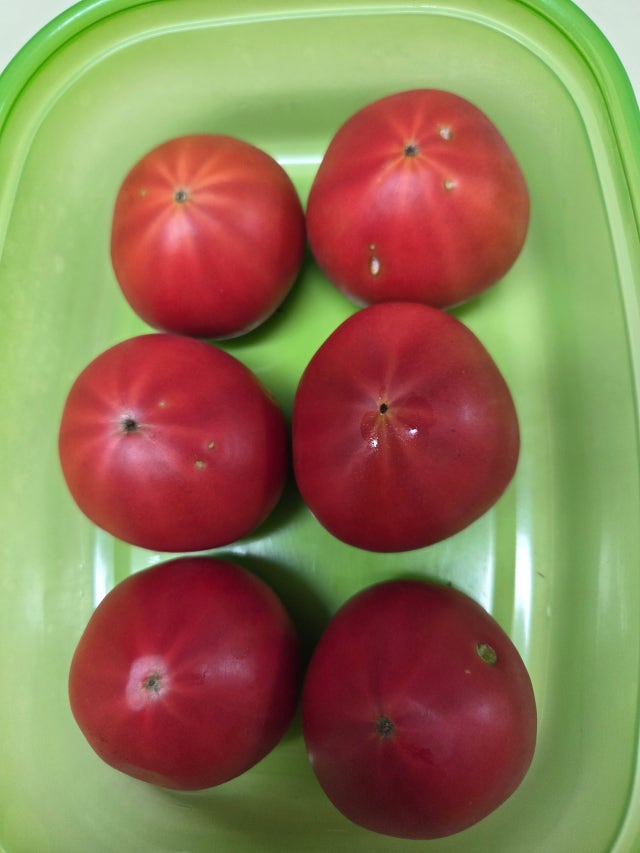 항상 맛있게 먹고 있어요