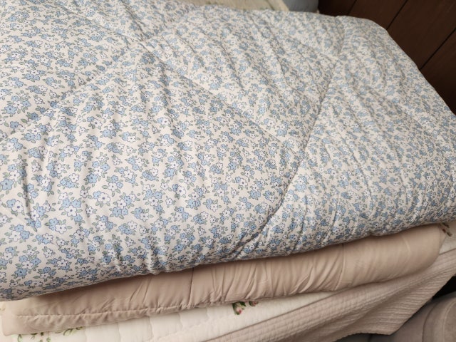 이미지를 찾을 수 없습니다.