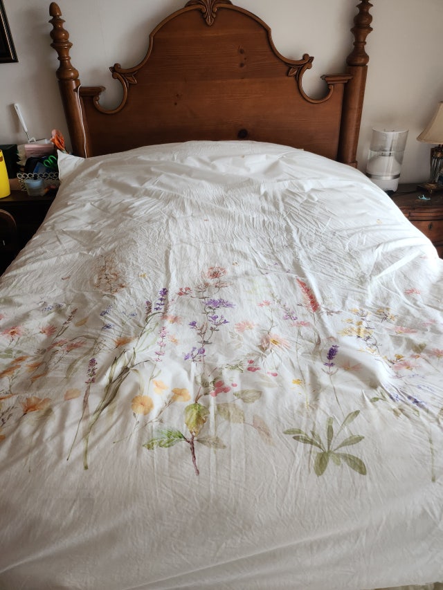 이미지를 찾을 수 없습니다.