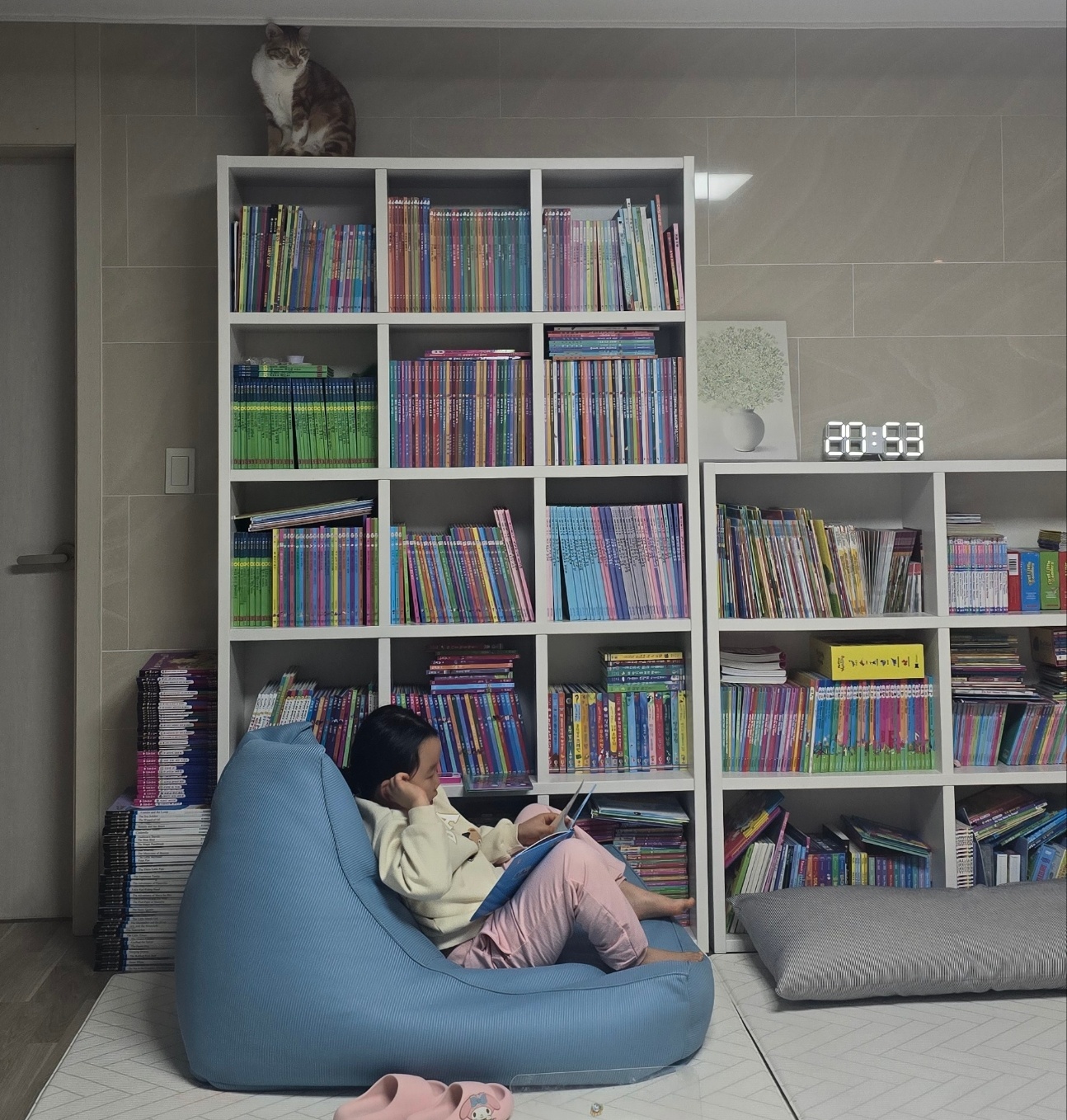 리뷰 이미지
