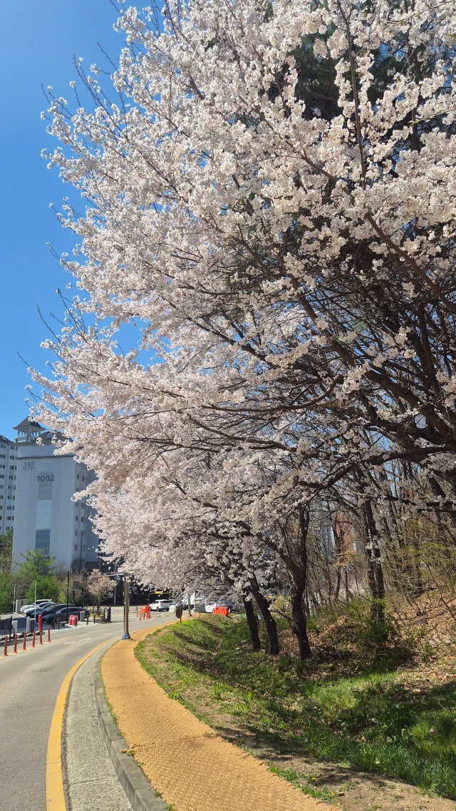 제목없음