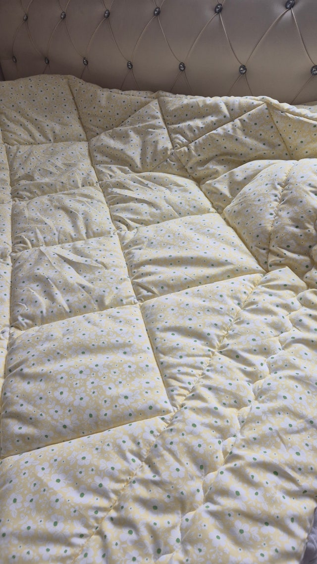 이미지를 찾을 수 없습니다.