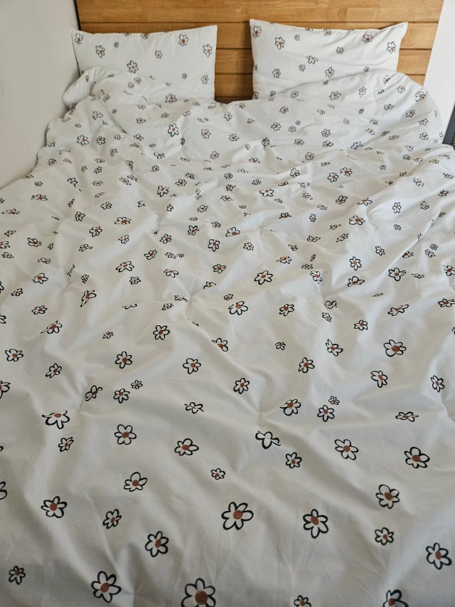 이미지를 찾을 수 없습니다.