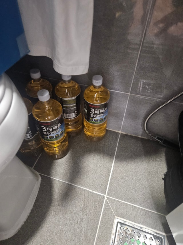 제목없음