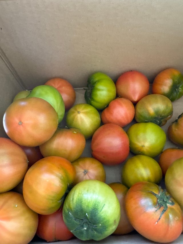 추천받아서 산건에 맛있어여