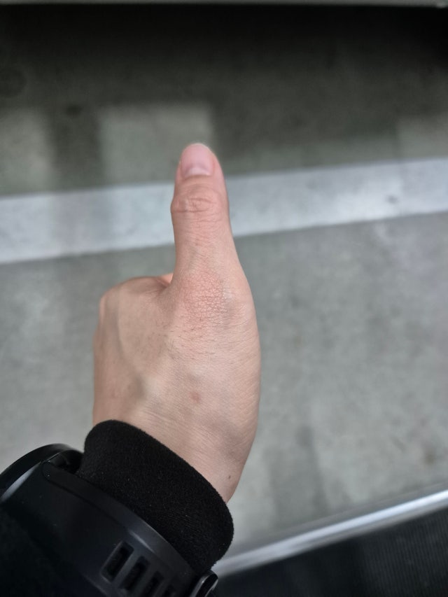 제목없음