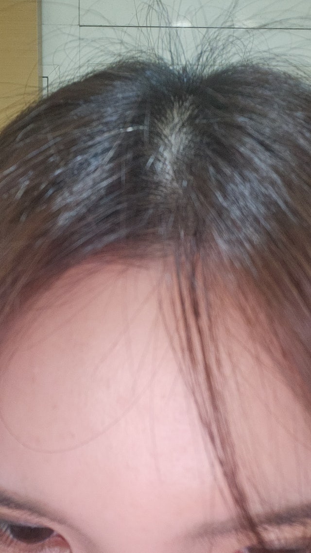 첨부파일
