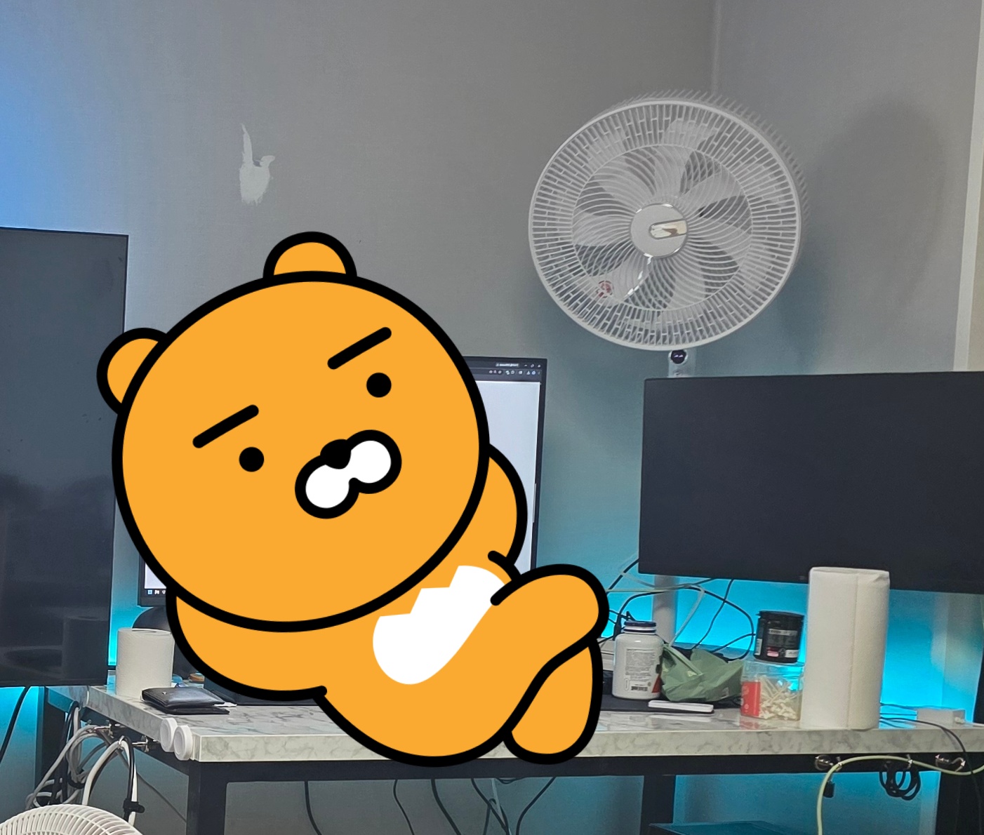 리뷰 이미지