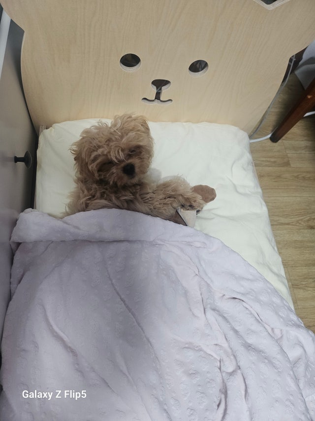 에디터이미지