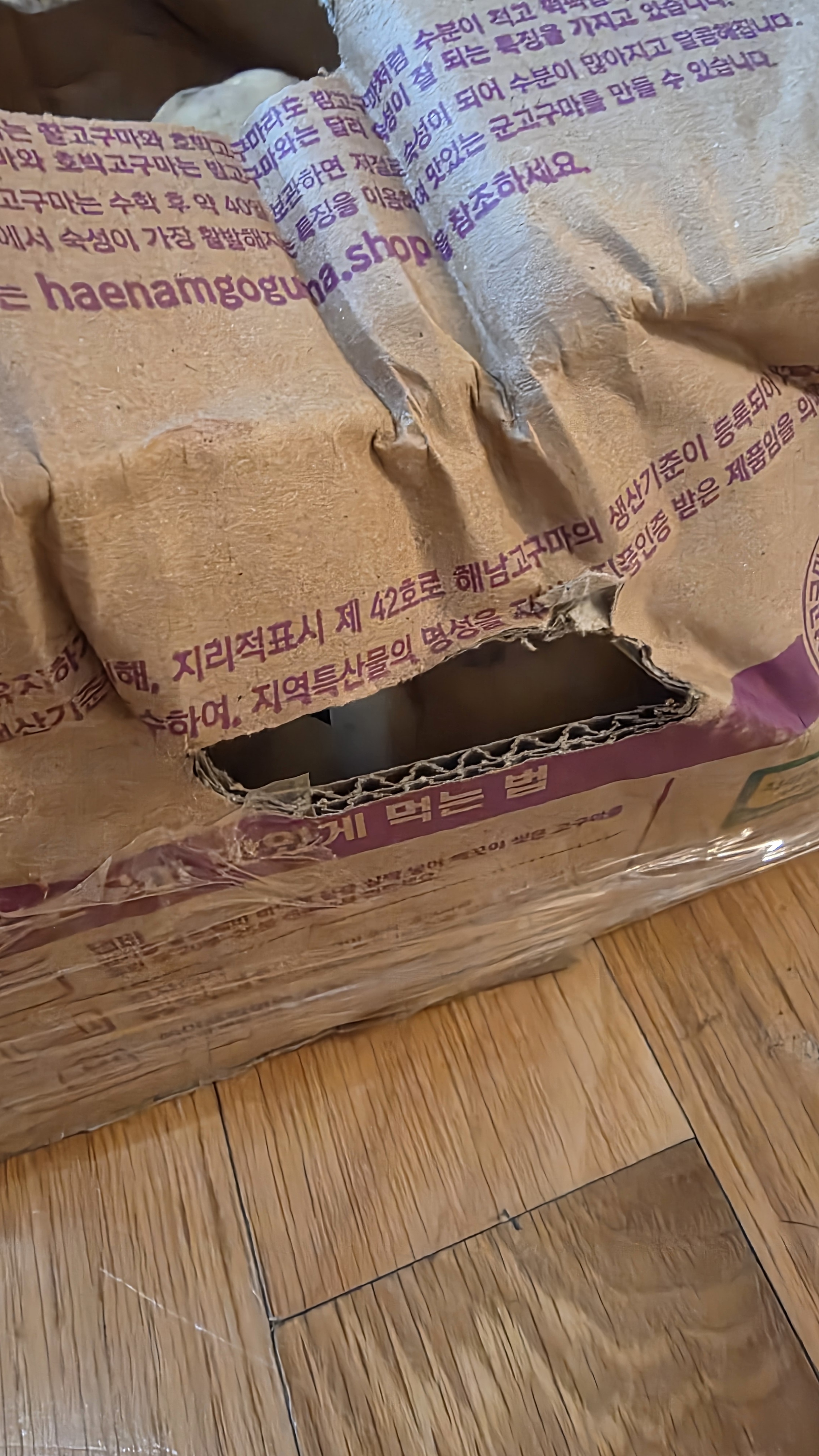 리뷰 이미지