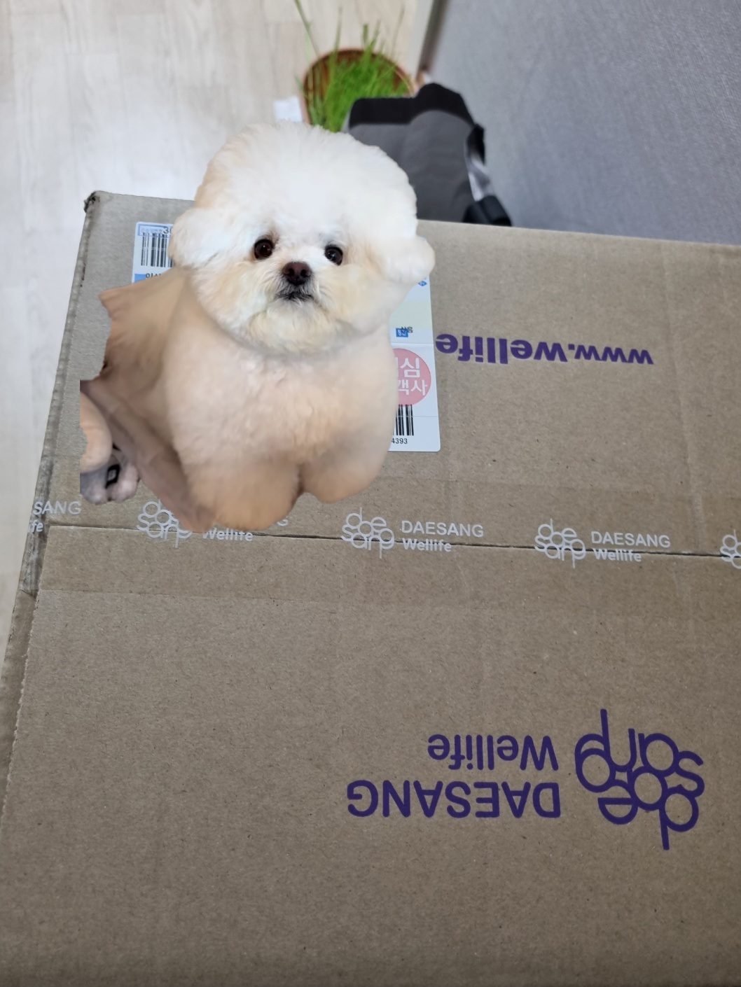리뷰 이미지
