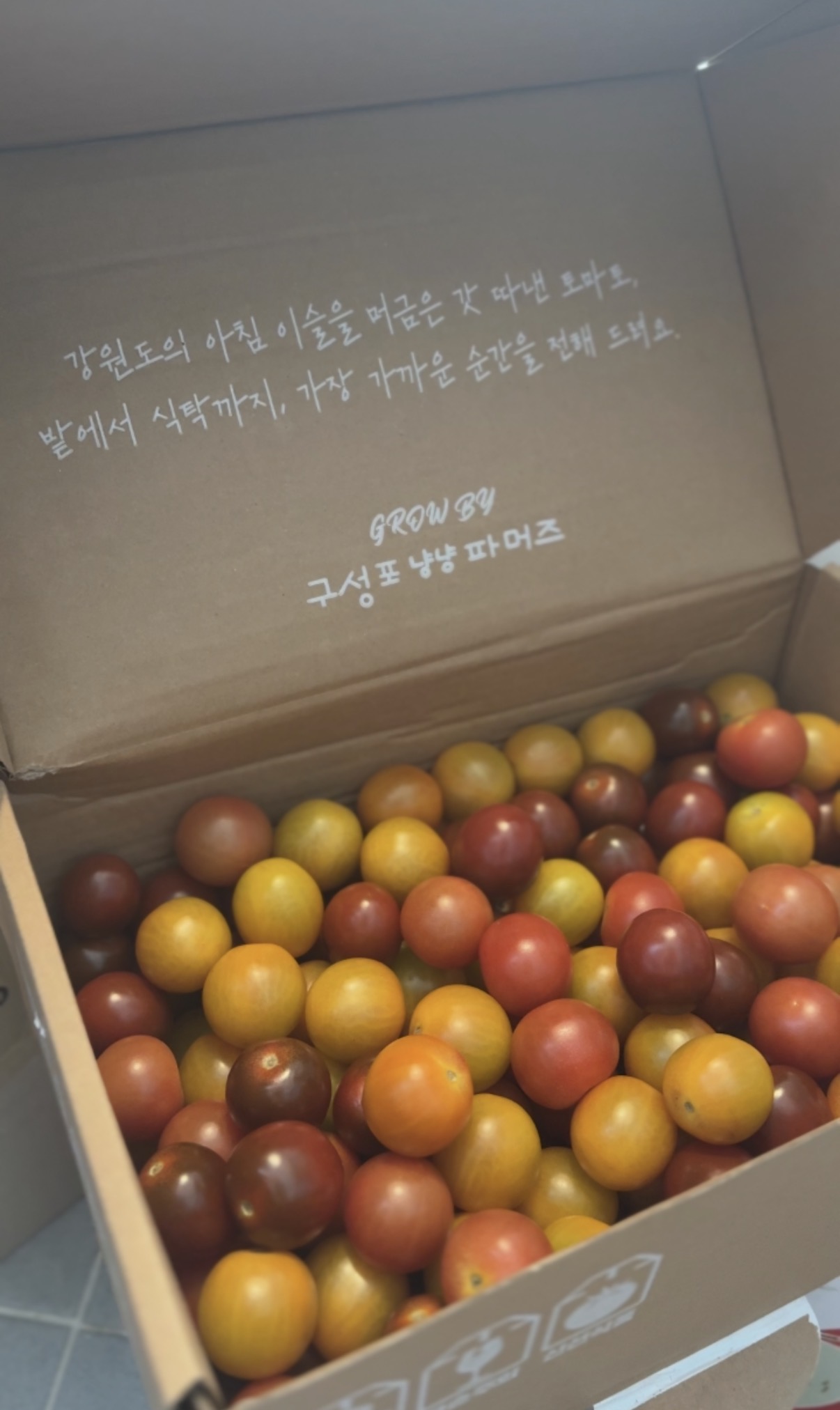 리뷰 이미지