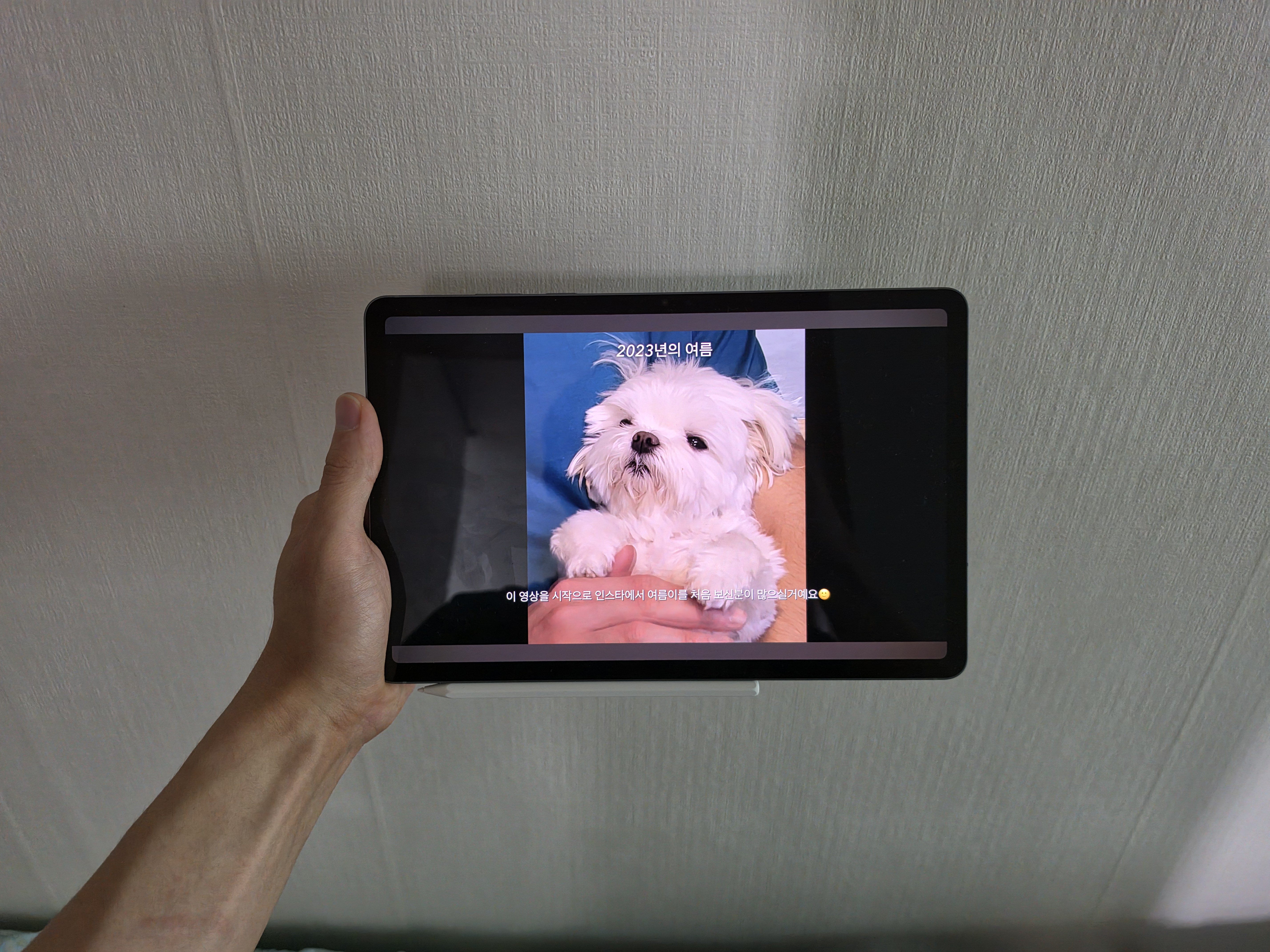 리뷰 이미지