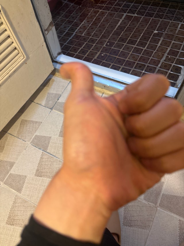 제목없음