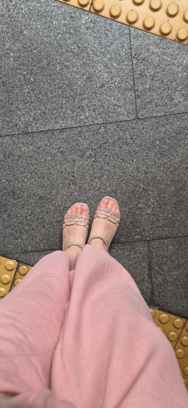 에디터이미지