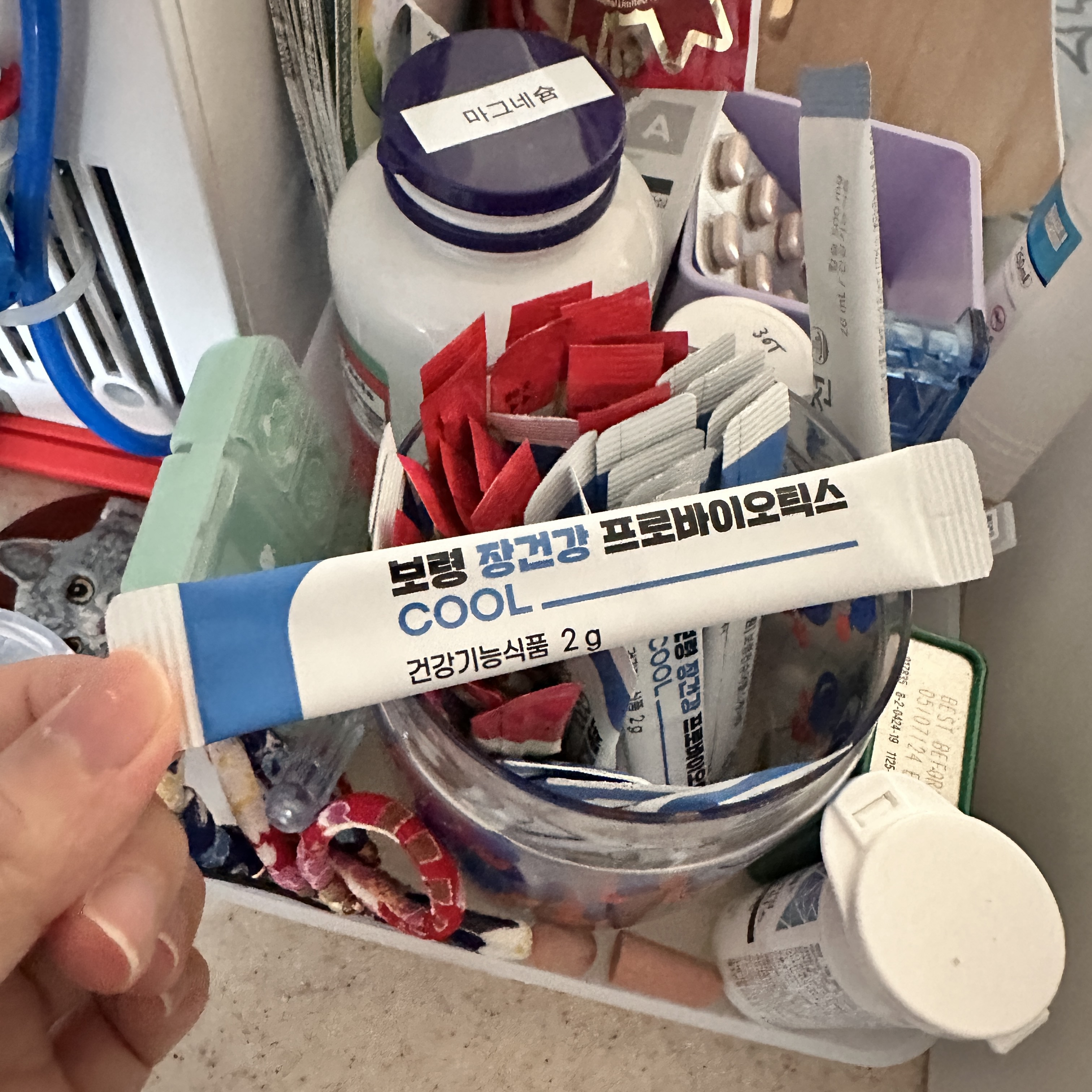 리뷰 이미지