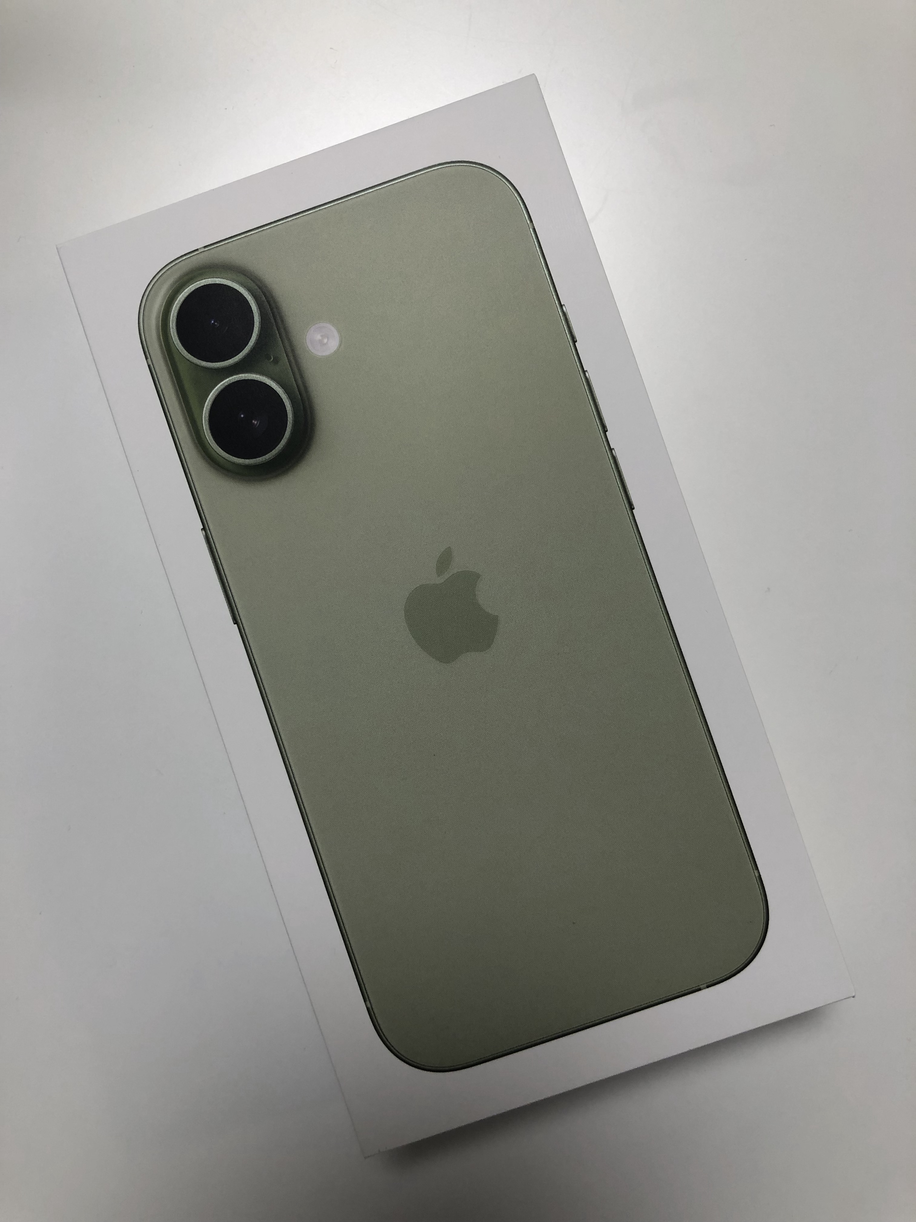 Review photo #15982