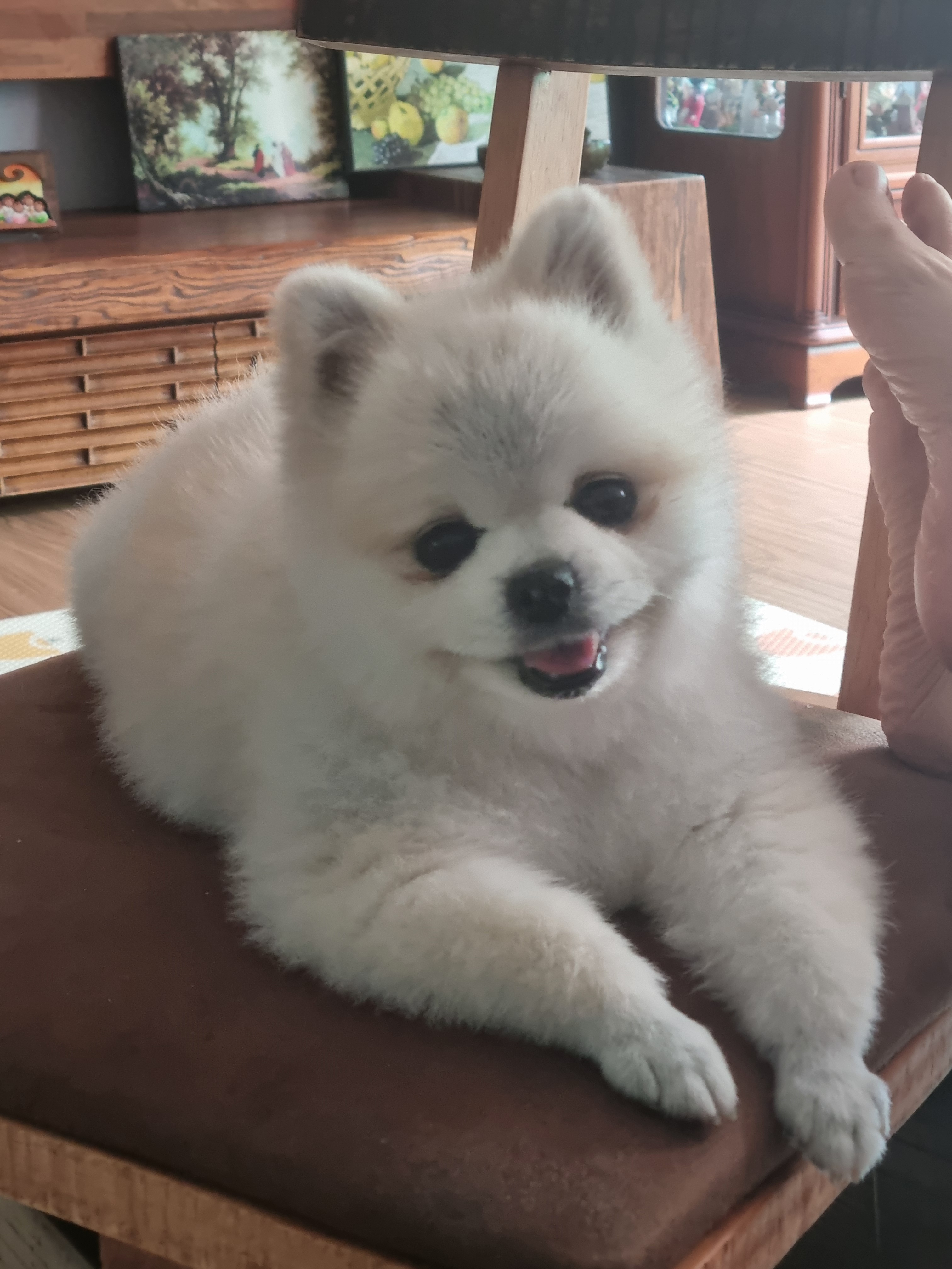 리뷰 이미지