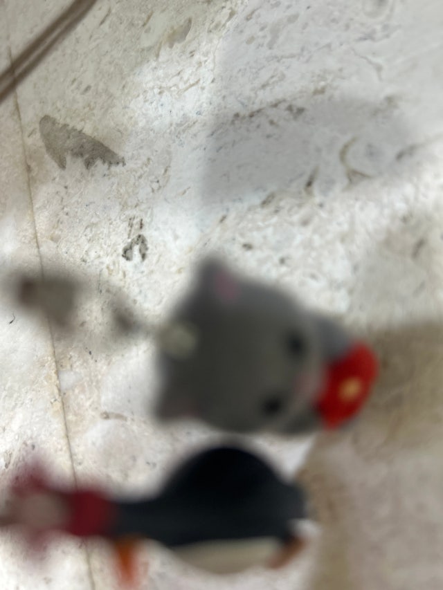 제목없음