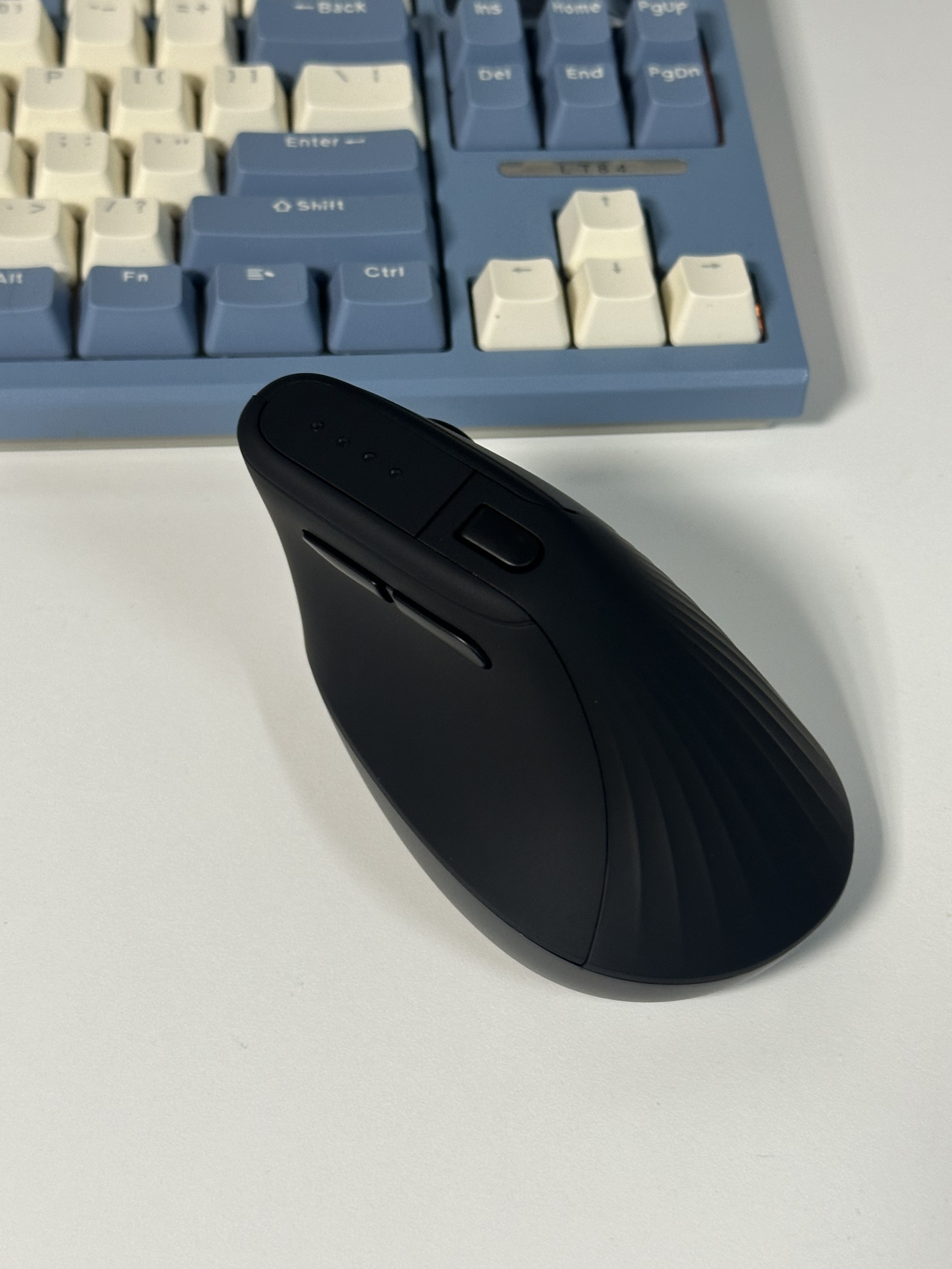 Review photo #16211