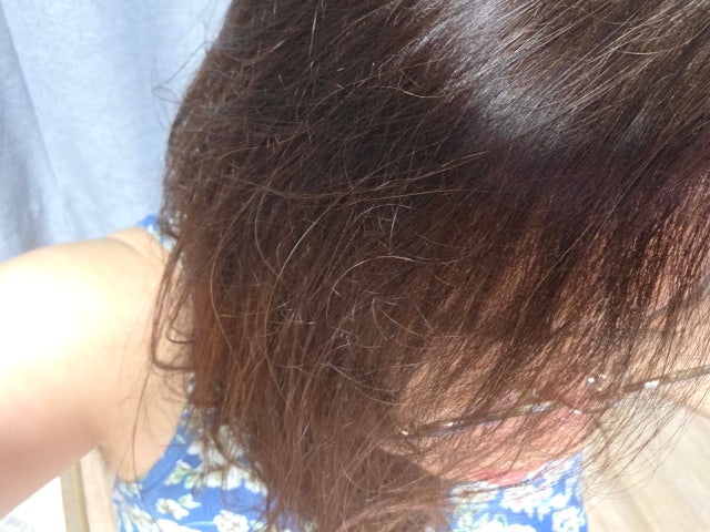 12136.jpg?type=w640