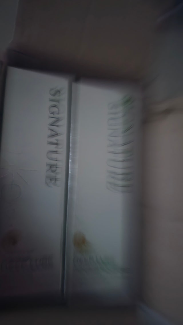 제목없음