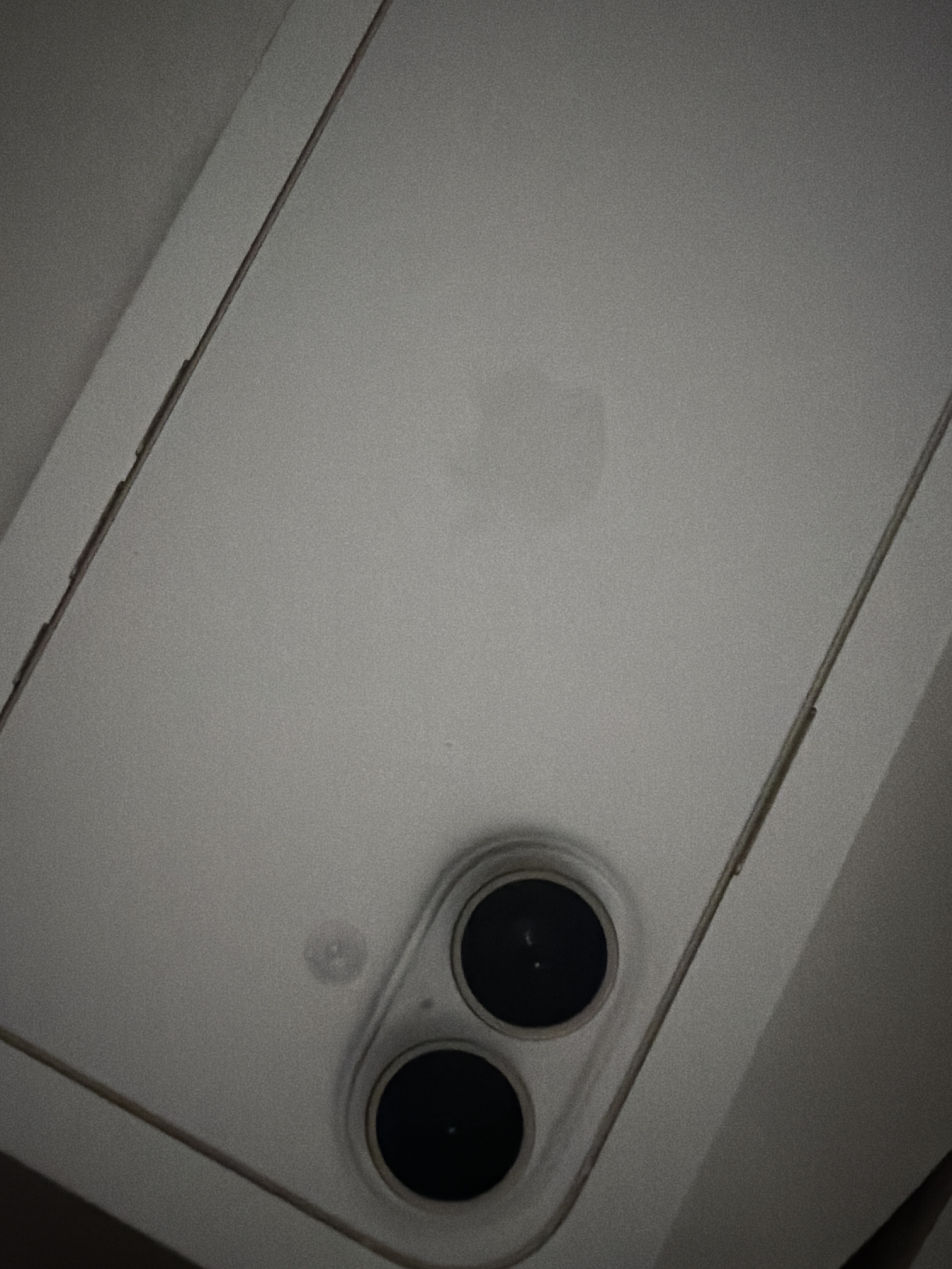 Review photo #16007