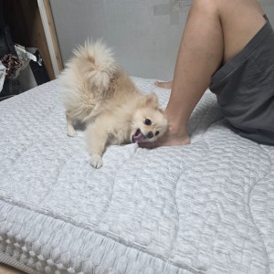 oh****님의 리뷰 사진