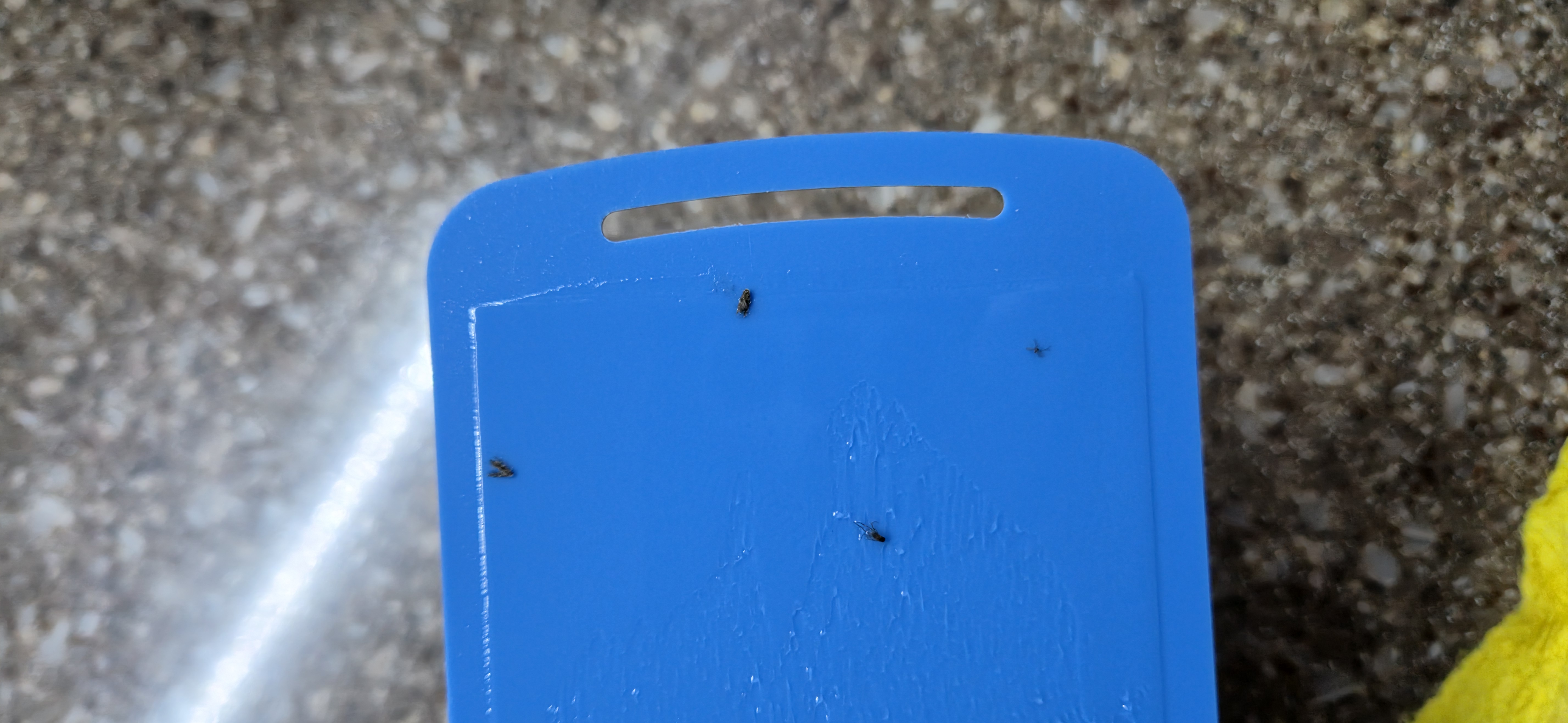 Review photo #15683