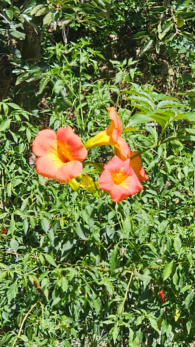 제목없음