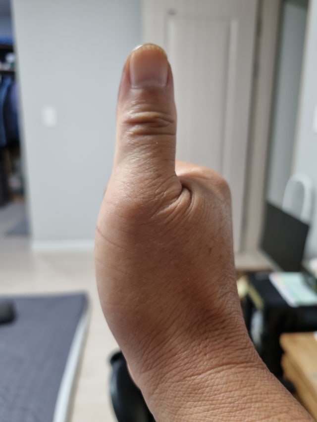제목없음