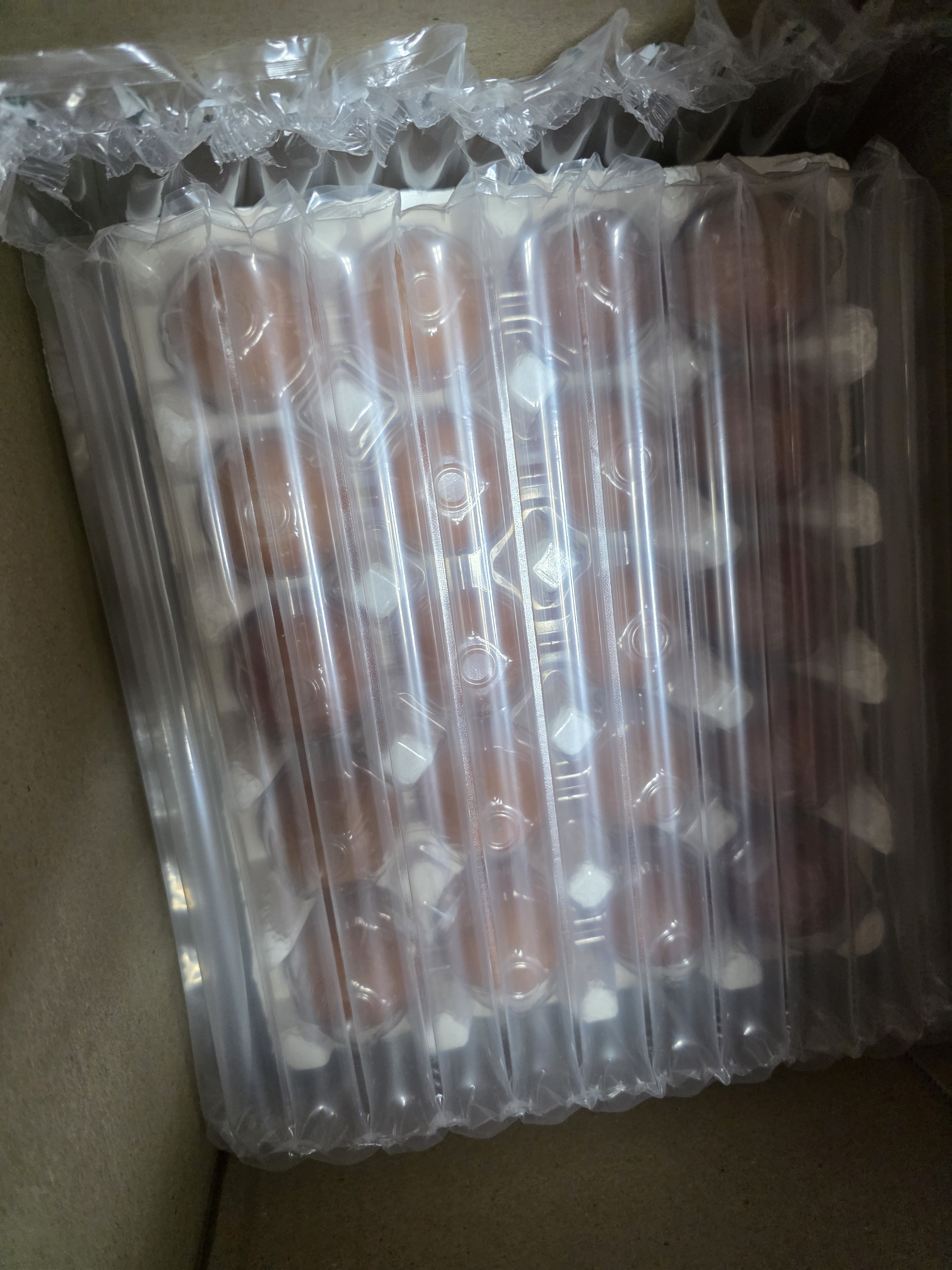 Review photo #17006