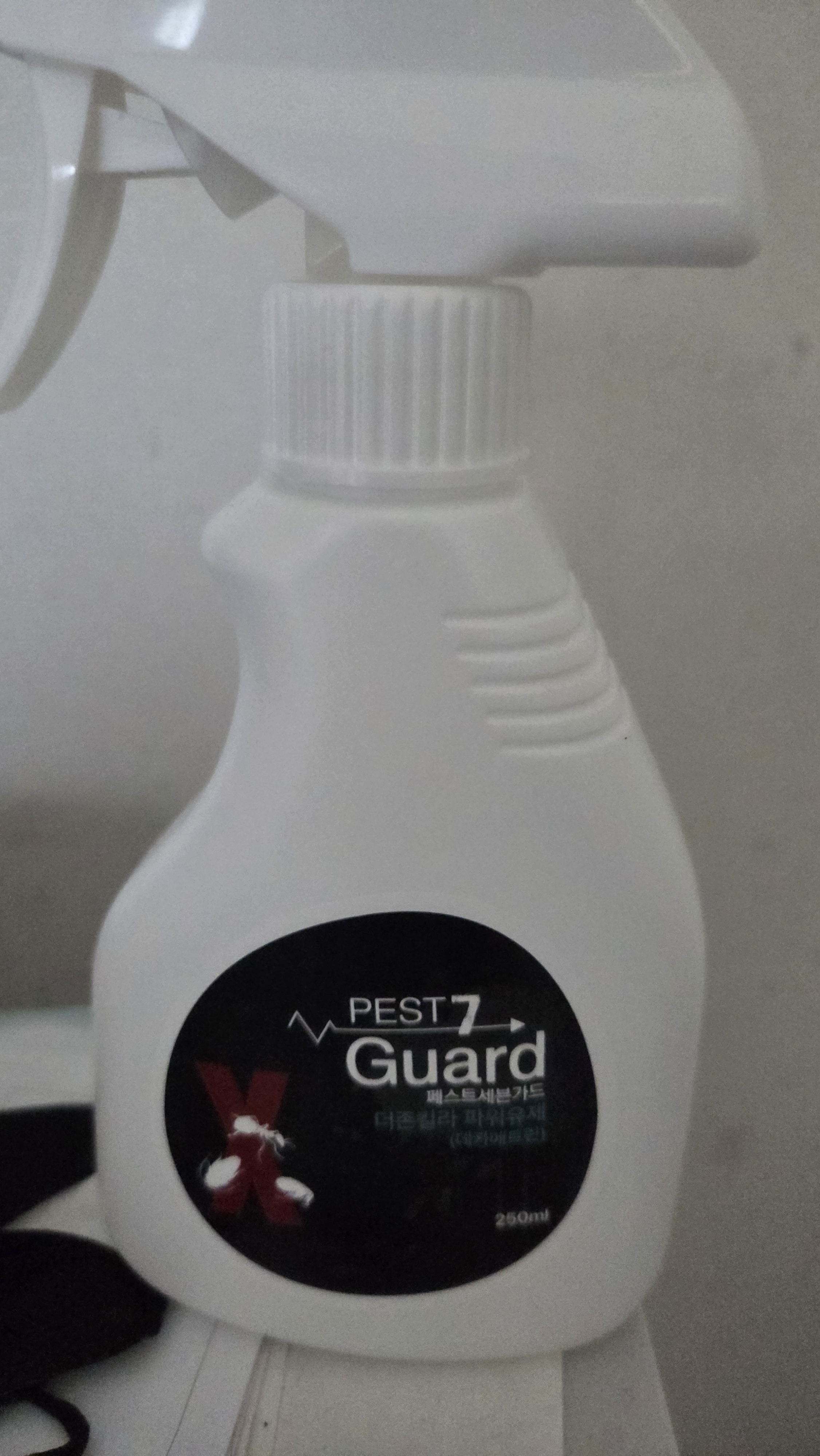 Review photo #16256