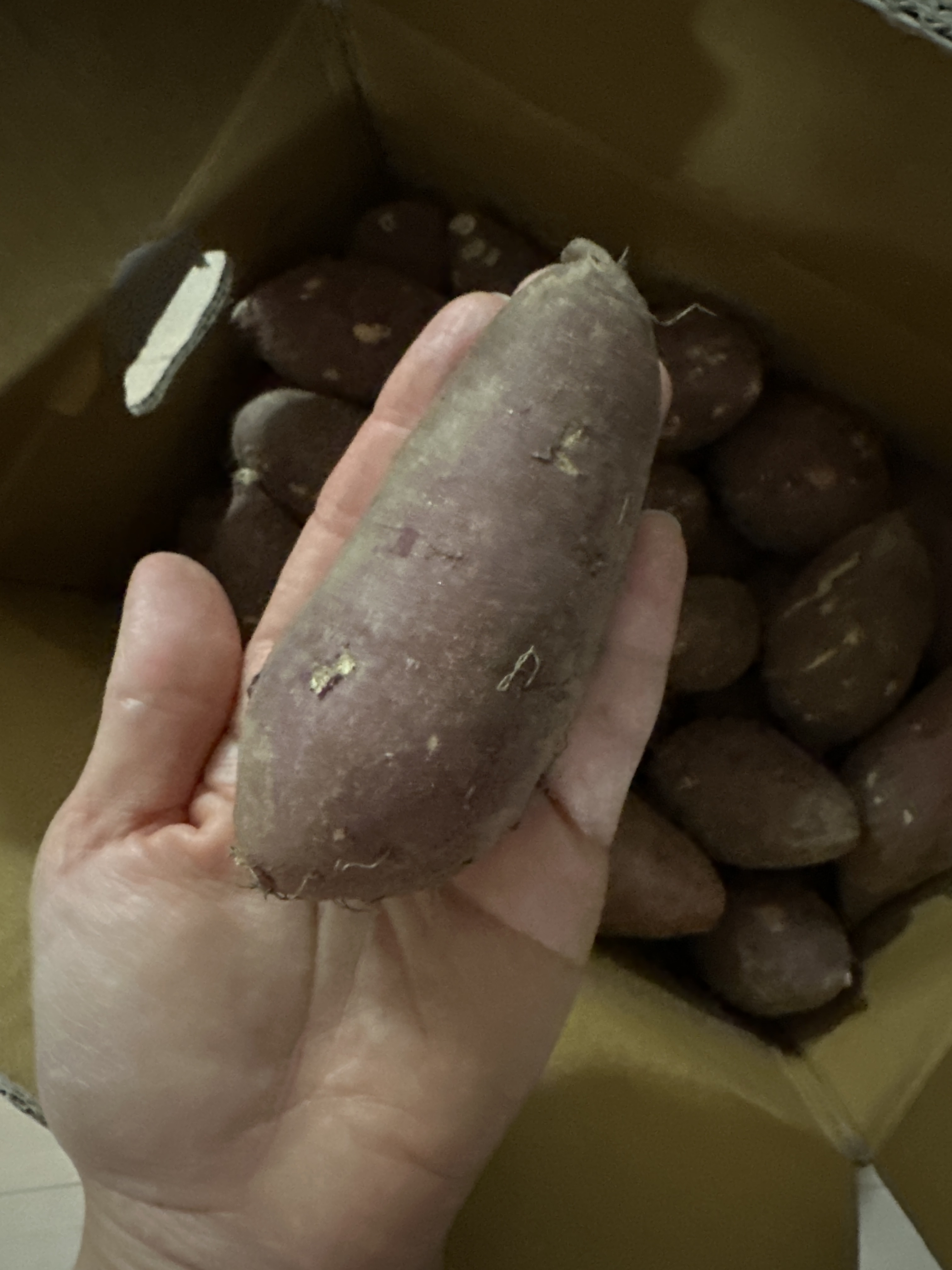 Review photo #17299