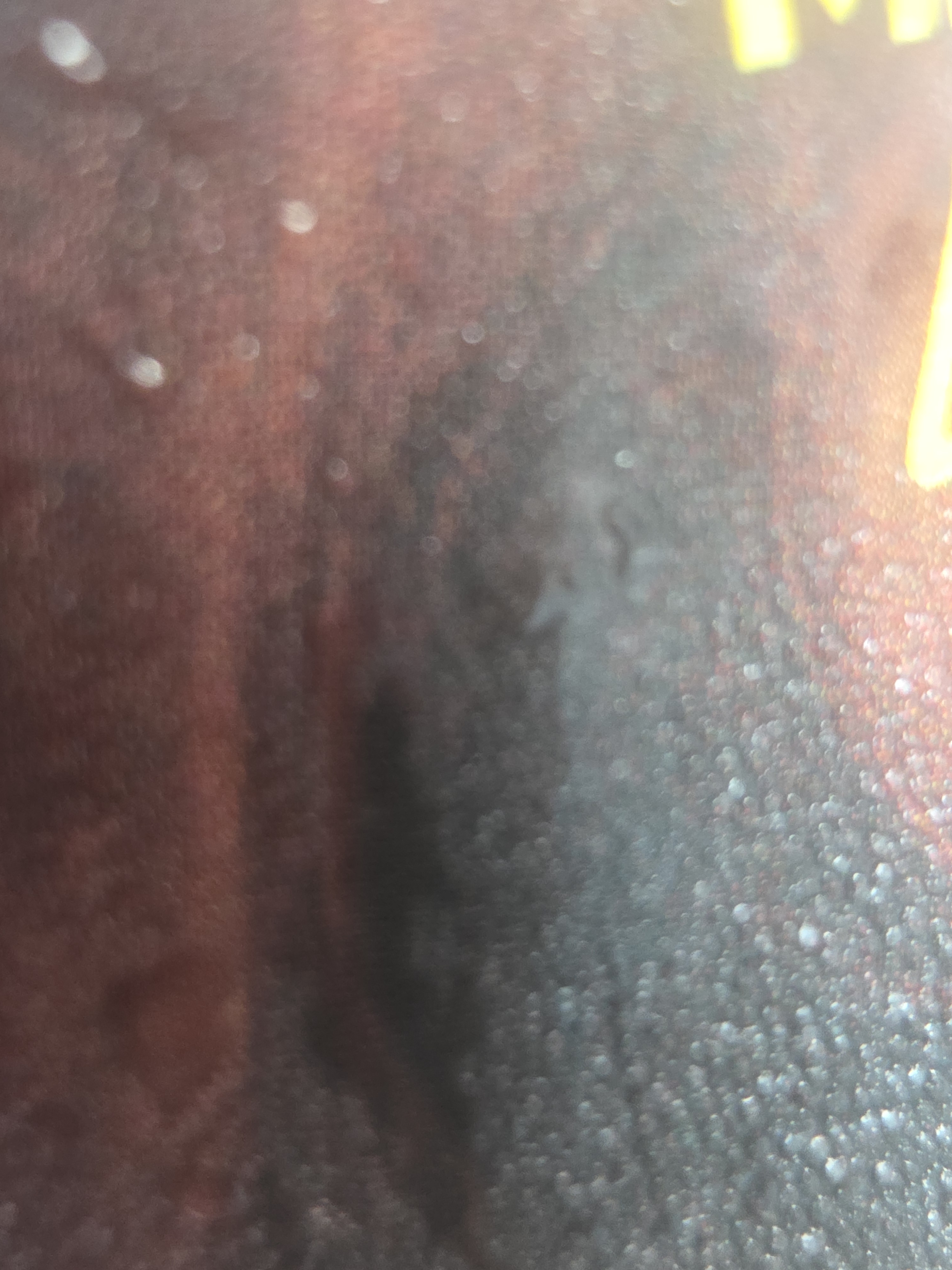 Review photo #15880