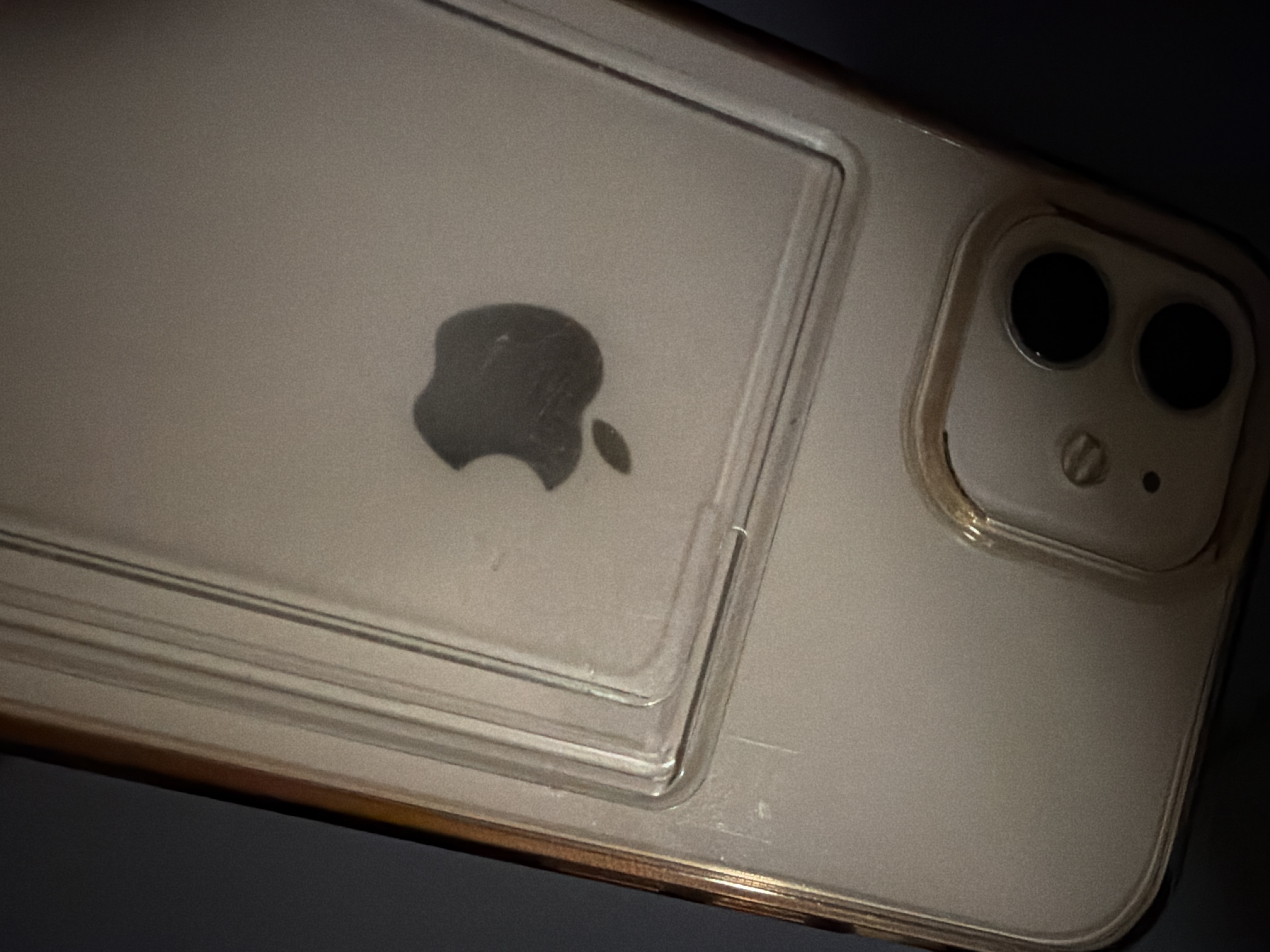 Review photo #16024