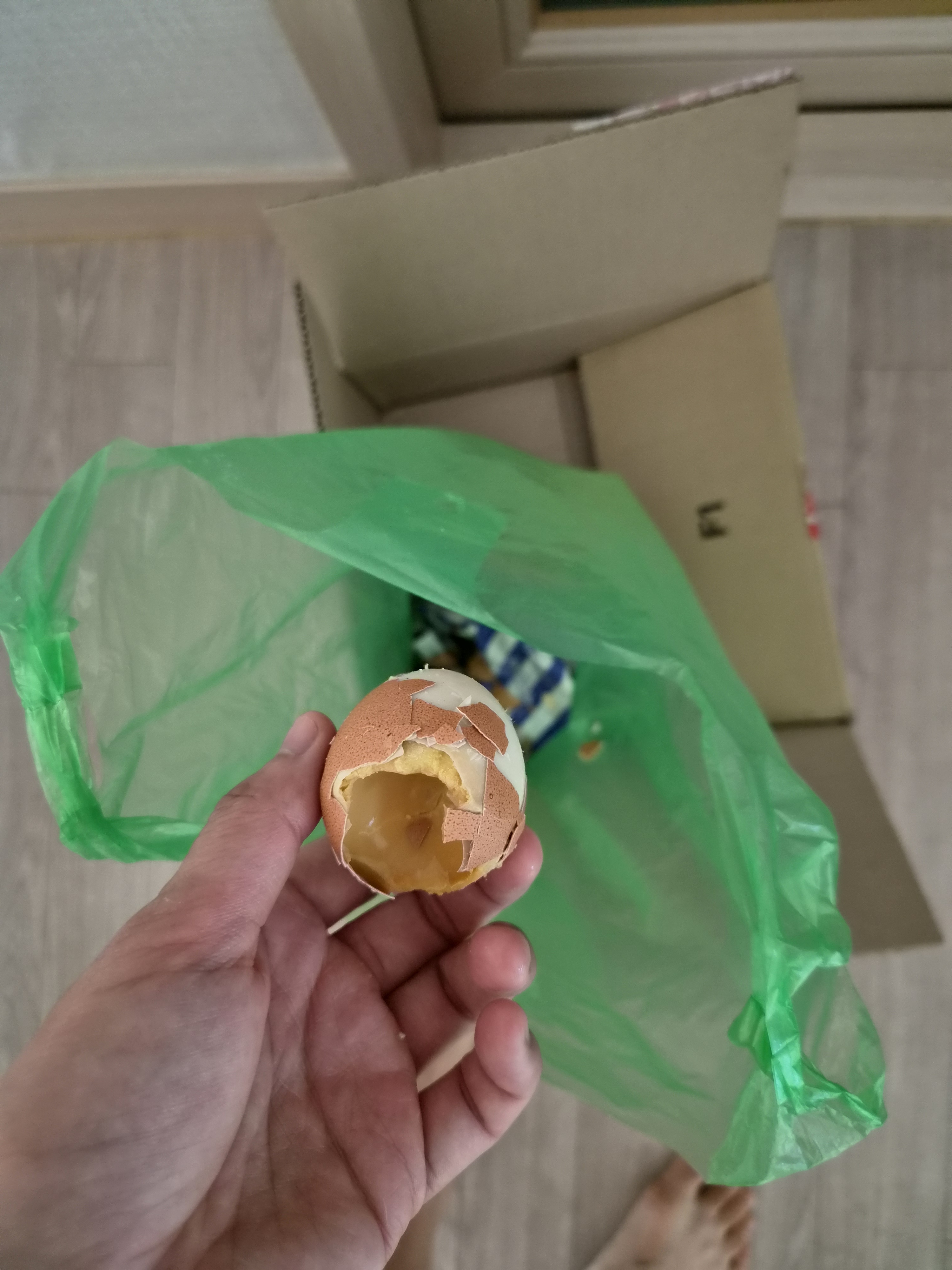 Review photo #16527