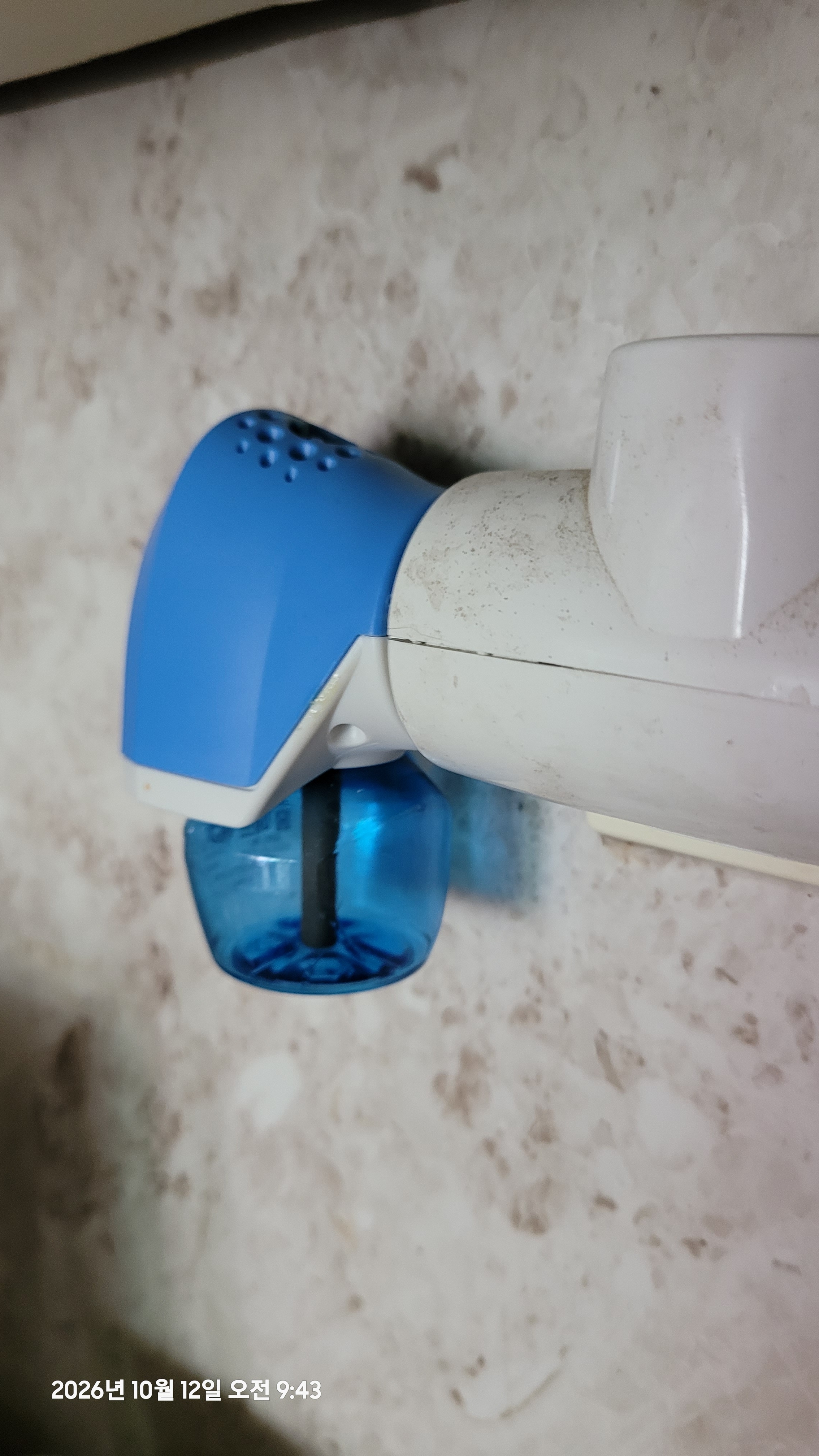 Review photo #15682