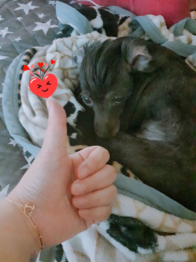 제목없음