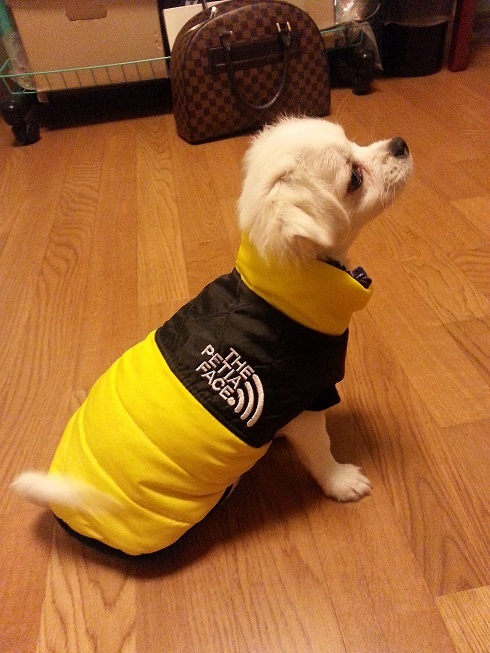 해피