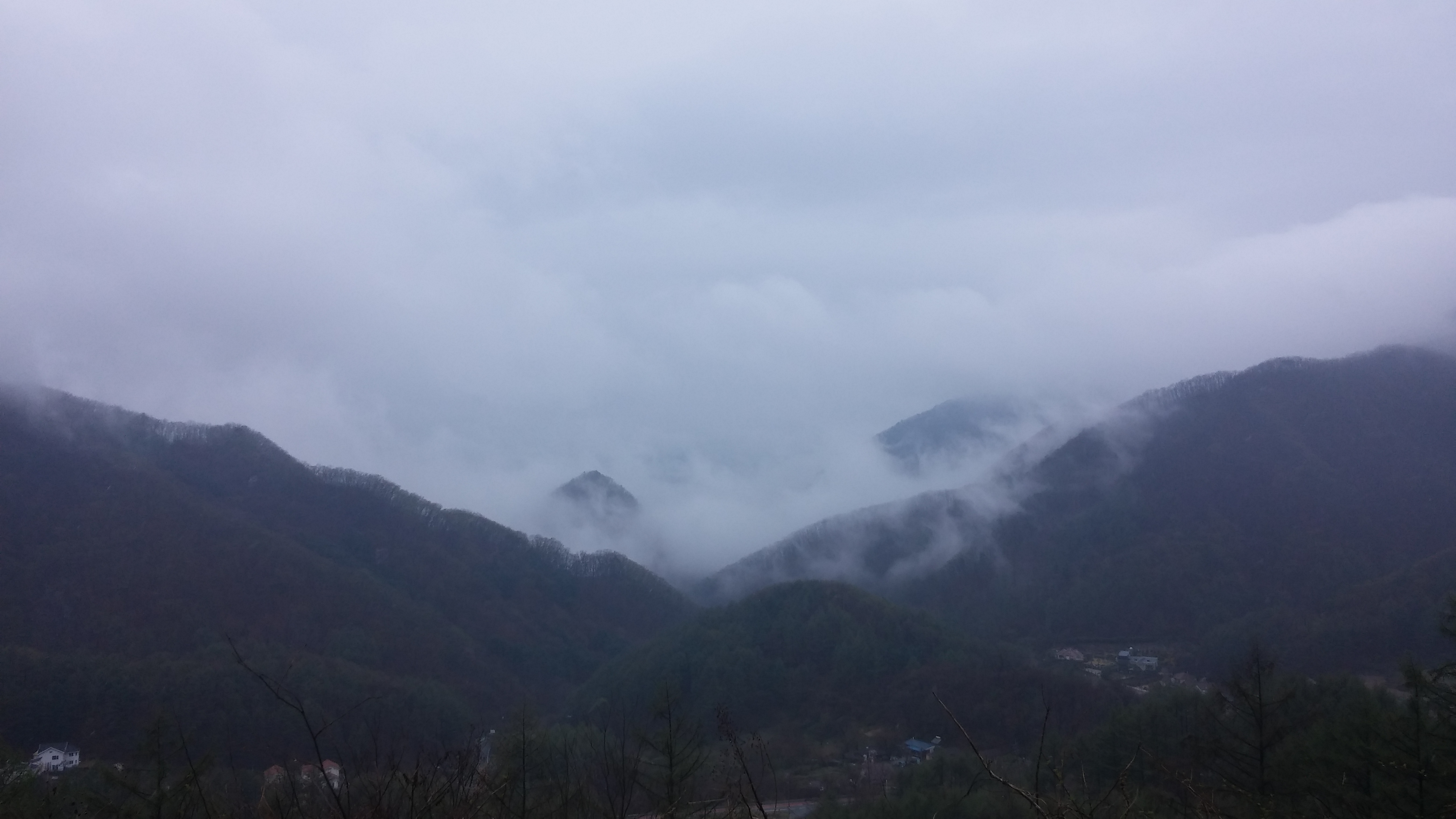 지혜로운뱀눈새149