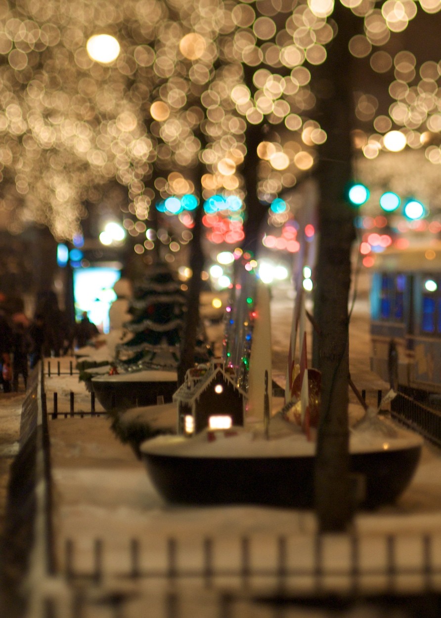 대견한이구아나88