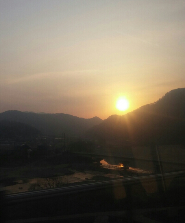 청해선의백목련