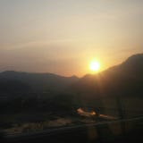 청해선의백목련