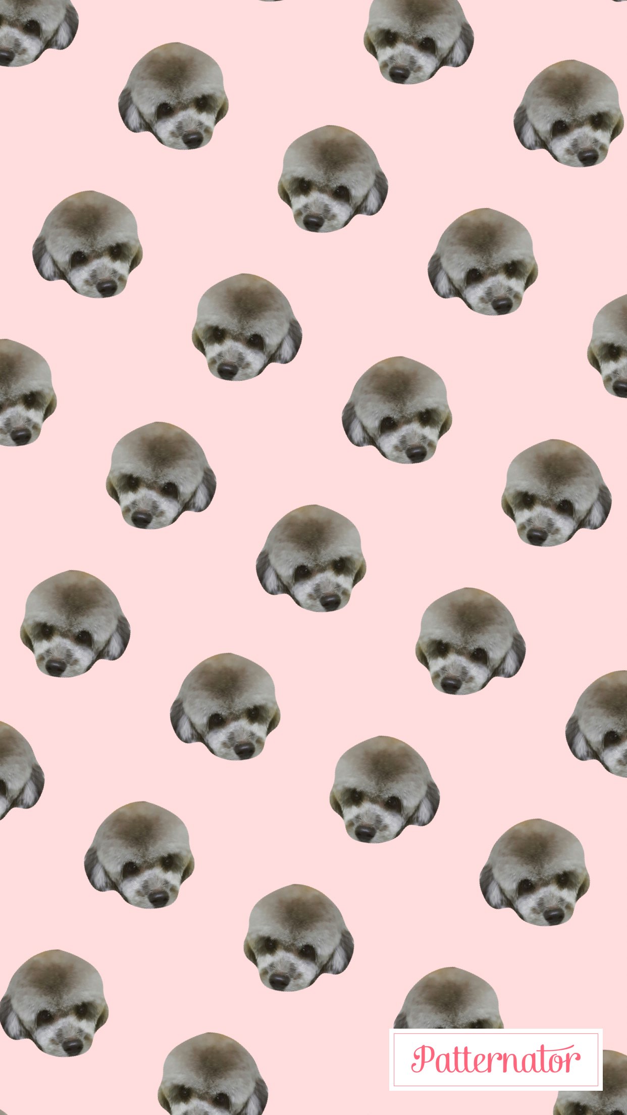 사려깊은코요테233