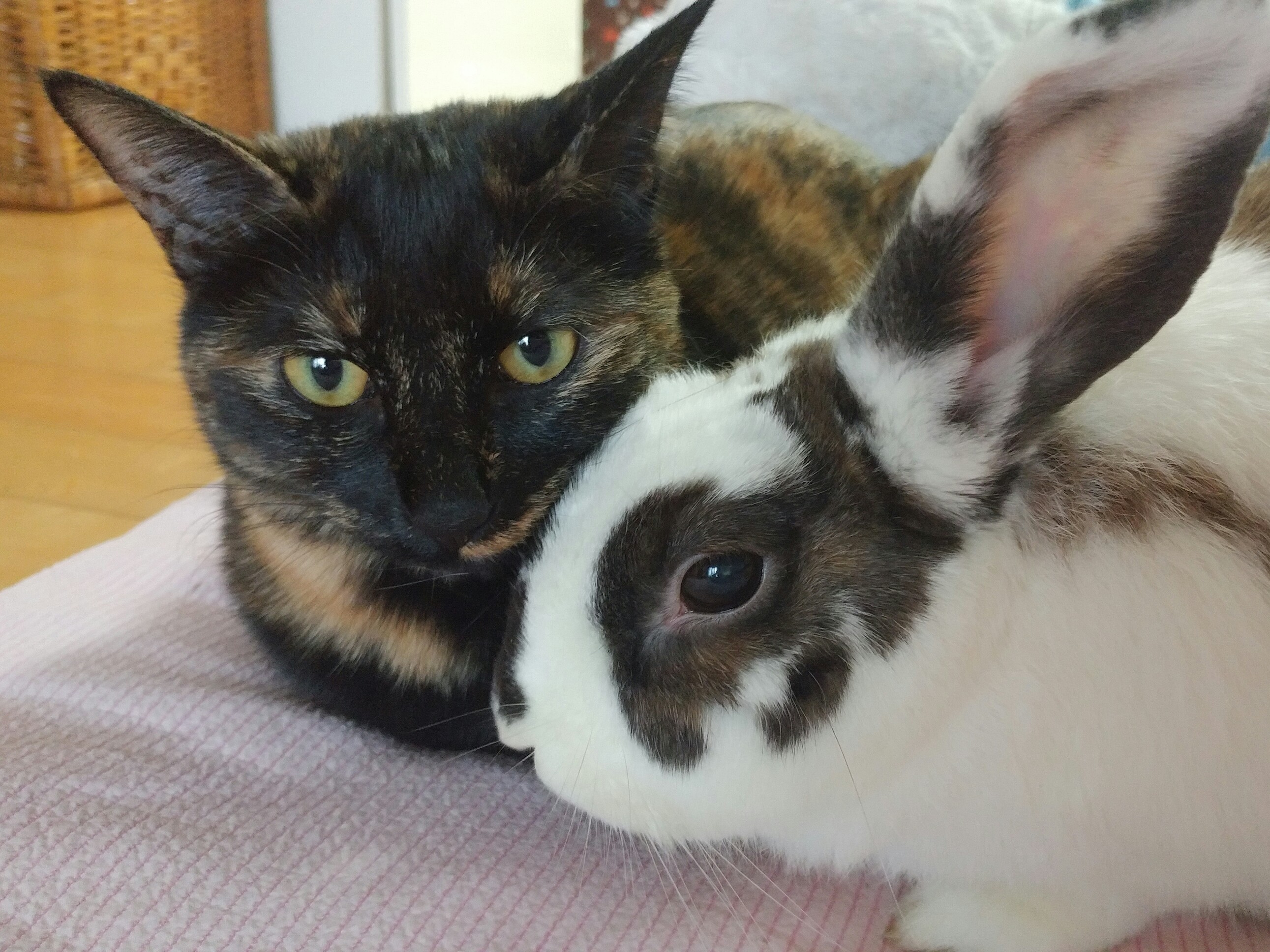 프로필사진