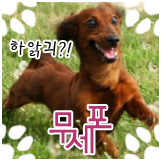 무세포